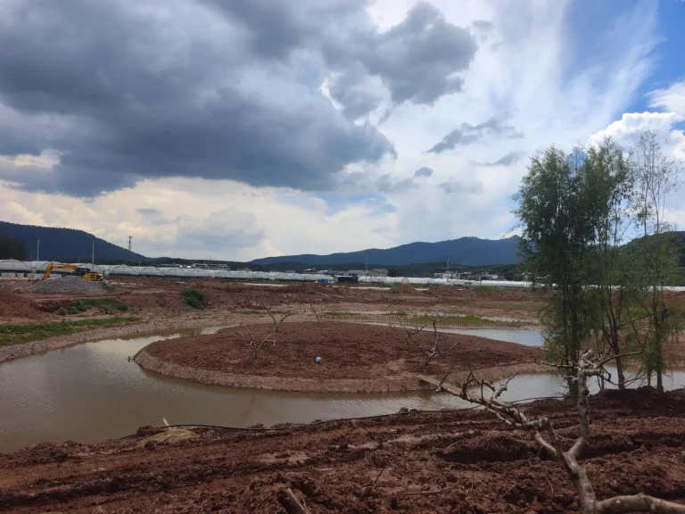 灰调天空下的景物，沉郁